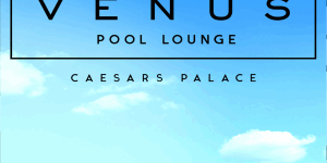 Winter Swim at Garden of the G...