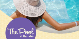 Weekdays at The Pool