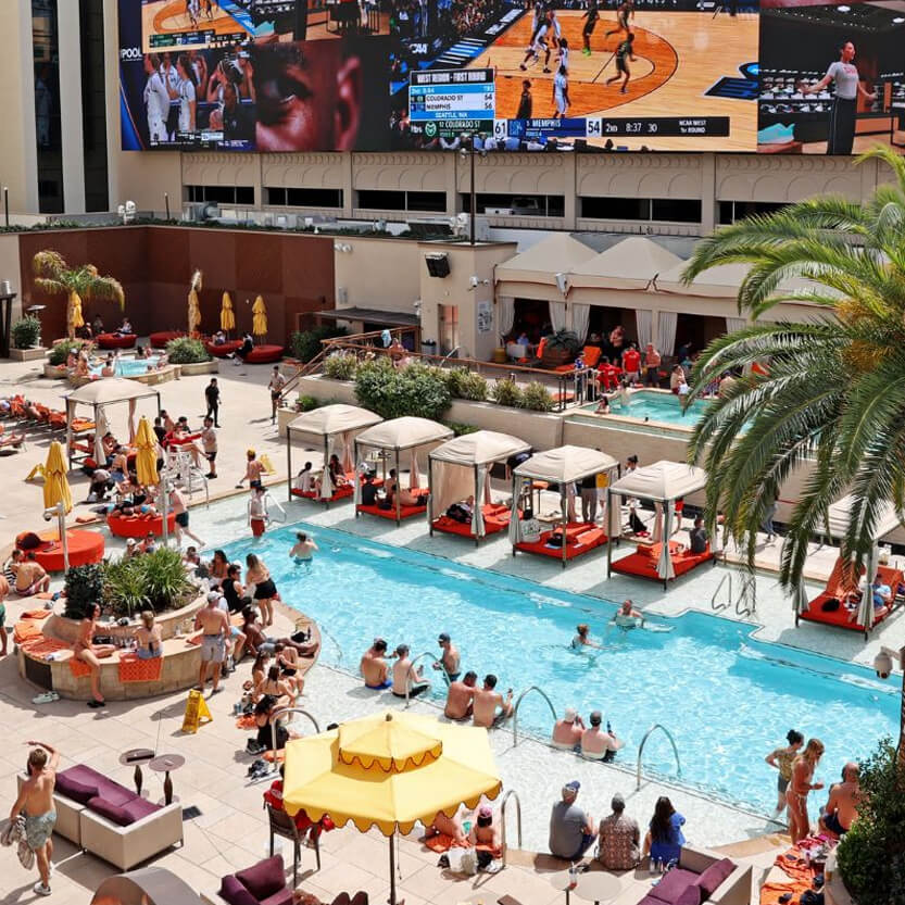 The-Pool-at-SAHARA (1)