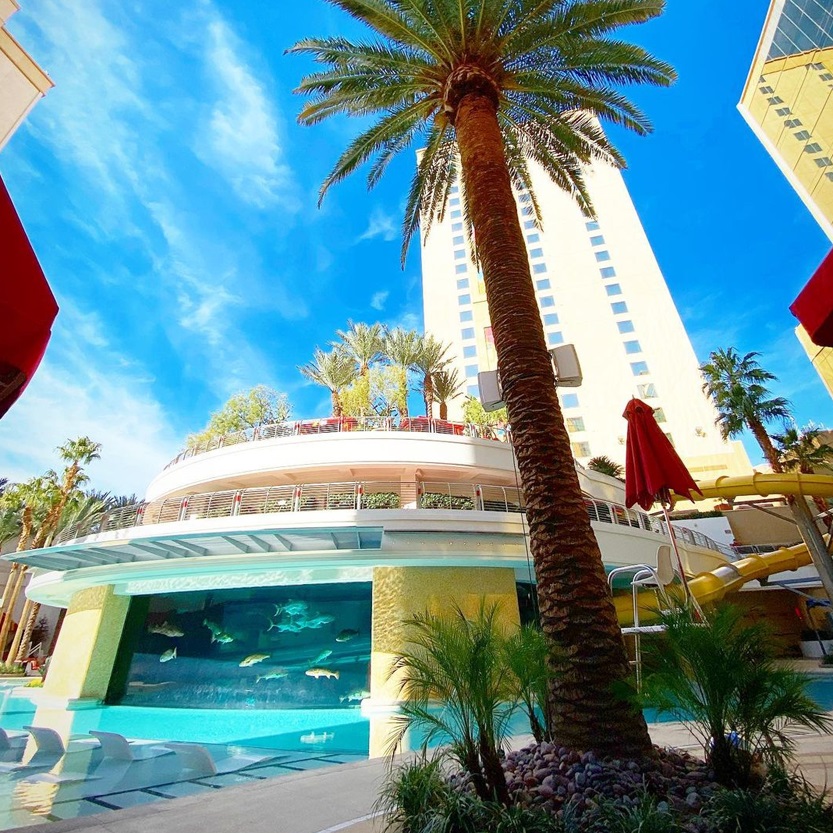 The Tank at Golden Nugget Pool Guide The Tank at Golden Nugget Award-Winning Family-Friendly Pool